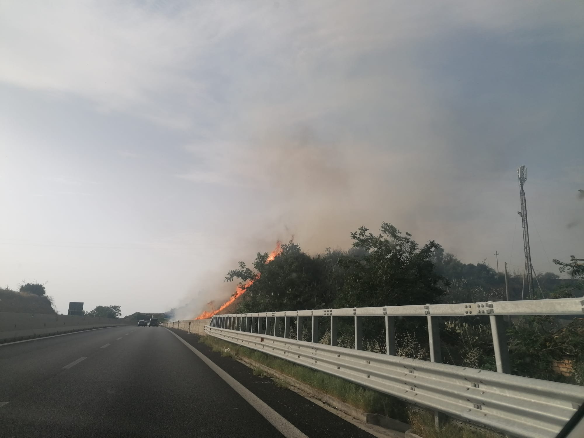Reggio Calabria assediata dagli incendi (FOTO)