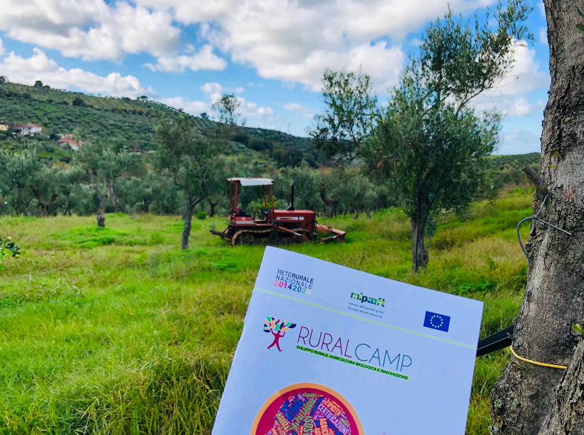 UniRC| Gli studenti del Dipartimento Agraria ai vertici nazionali del Progetto RURAL4UNIVERSITÀ2022
