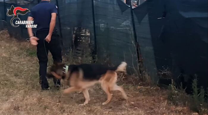 La ’ndrangheta nel racket del calcestruzzo, undici misure cautelari nel Varesotto