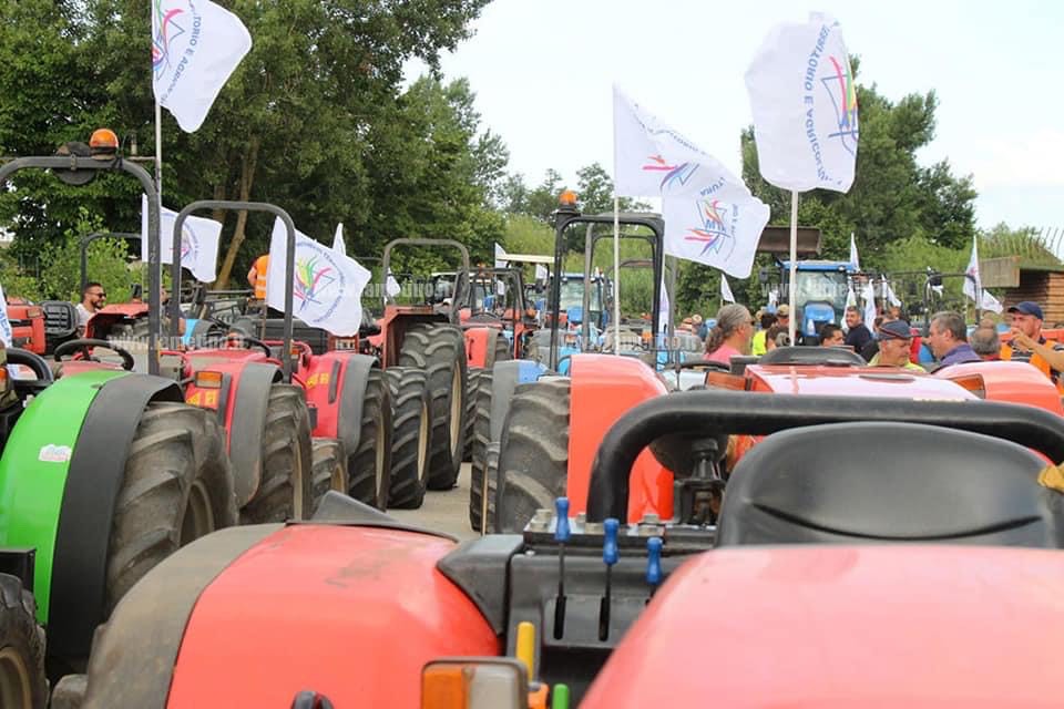 Molinari (Lega): “La protesta degli agricoltori a Lamezia sollecita la Regione: servono interventi urgenti e concreti”