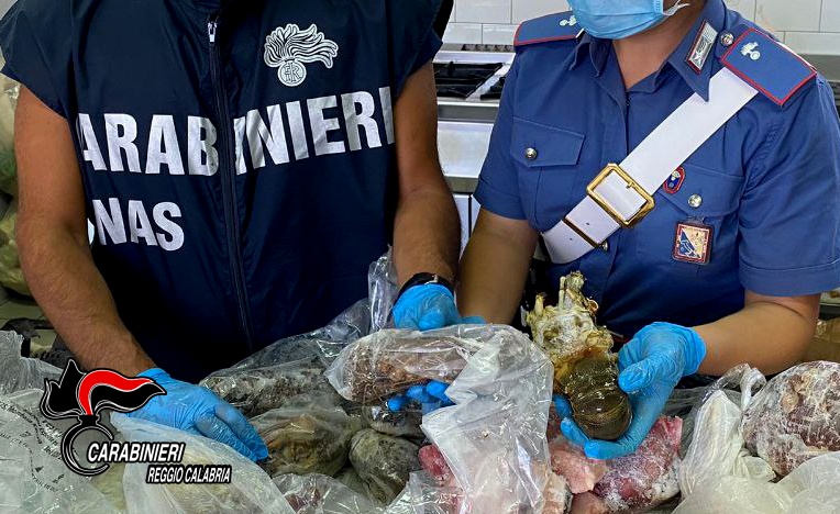 Reggio Calabria, 168 ispezioni dei Nas: sequestrate 2 tonnellate di alimenti, sospensione e chiusura per 13 tra pizzerie e ristoranti