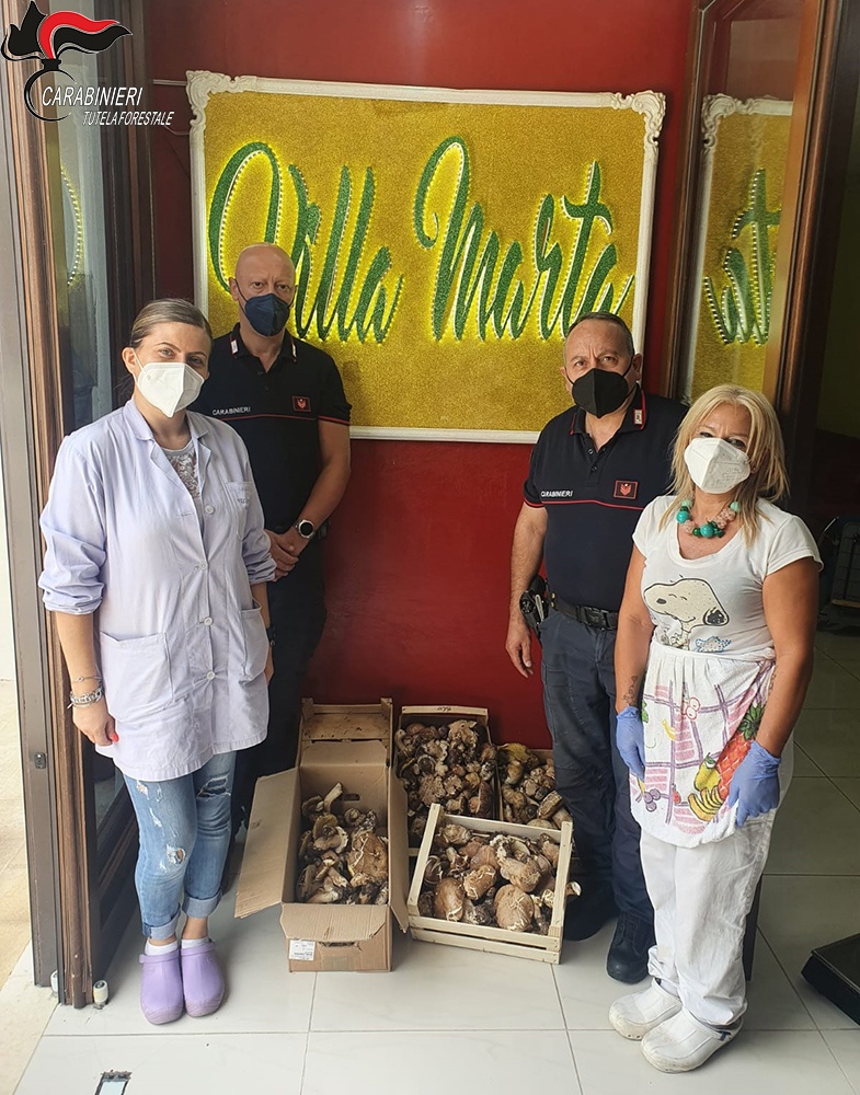 Sequestrati funghi venduti senza autorizzazione in Sila