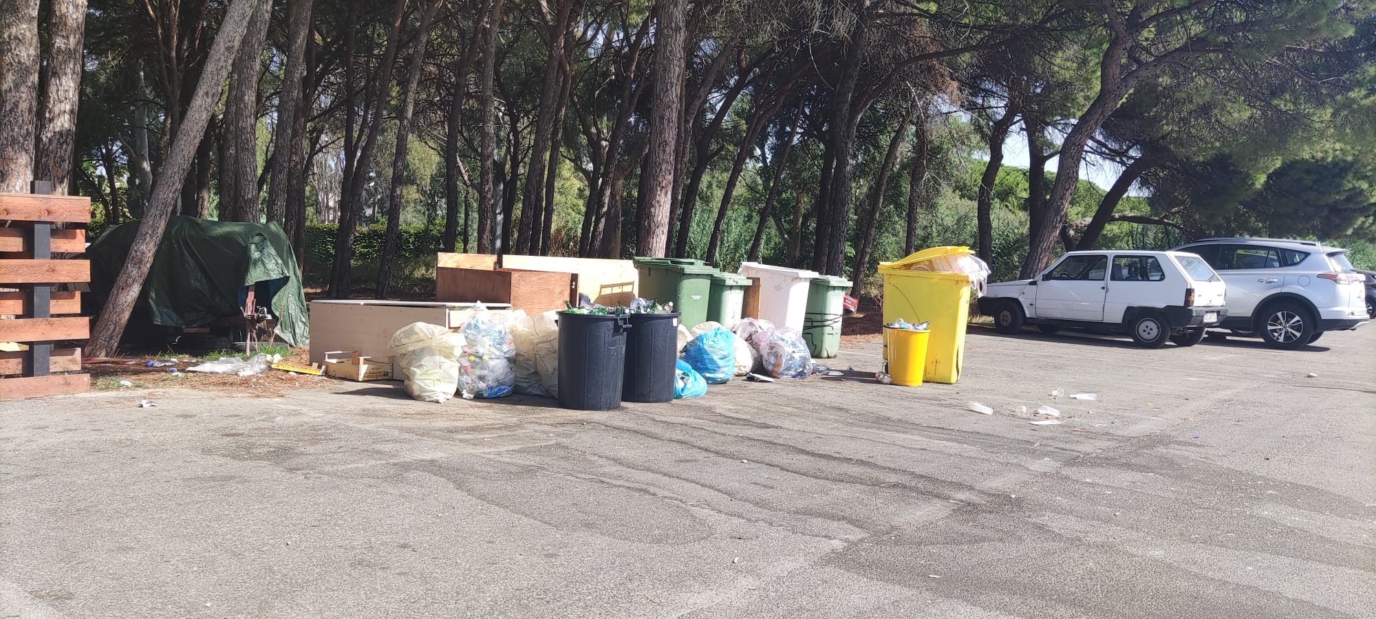Catanzaro, fototrappole contro i “furbetti del sacchetto”: beccate circa 30 persone