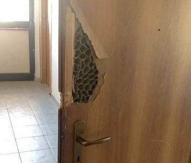 Vandali in azione in impianto sportivo a Crotone