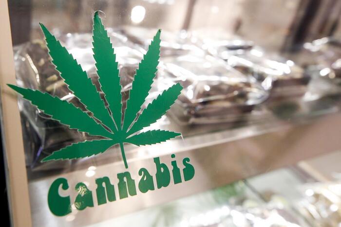 Calabria – Via libera alla cannabis per uso terapeutico