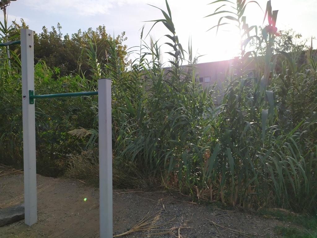 Reggio Calabri, parco per bambini con degrado e sporcizia: “Chi ha tagliato l’erba ha dimenticato un’intera area”