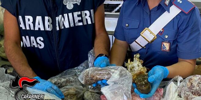 Blitz dei Nas a Reggio Calabria per il rischio Listeria – Sequestrati 250kg di prodotti irregolari