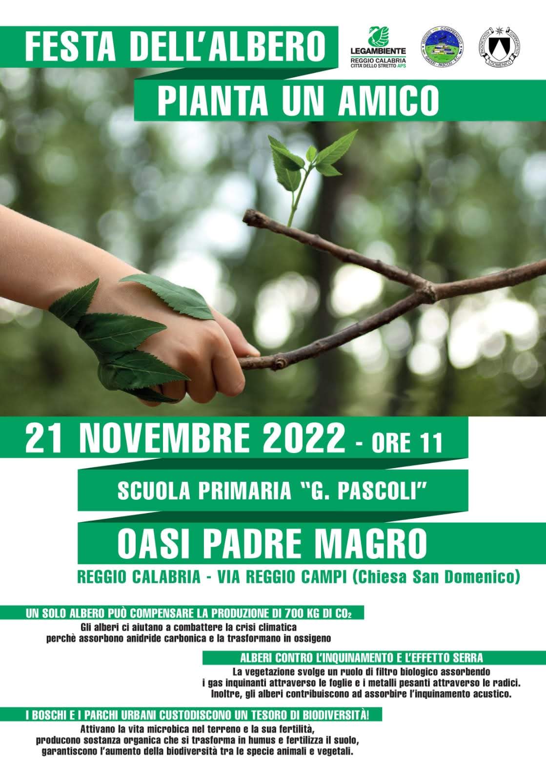 Legambiente, la Festa dell’Albero a Reggio e provincia a cura del circolo “Città dello Stretto”