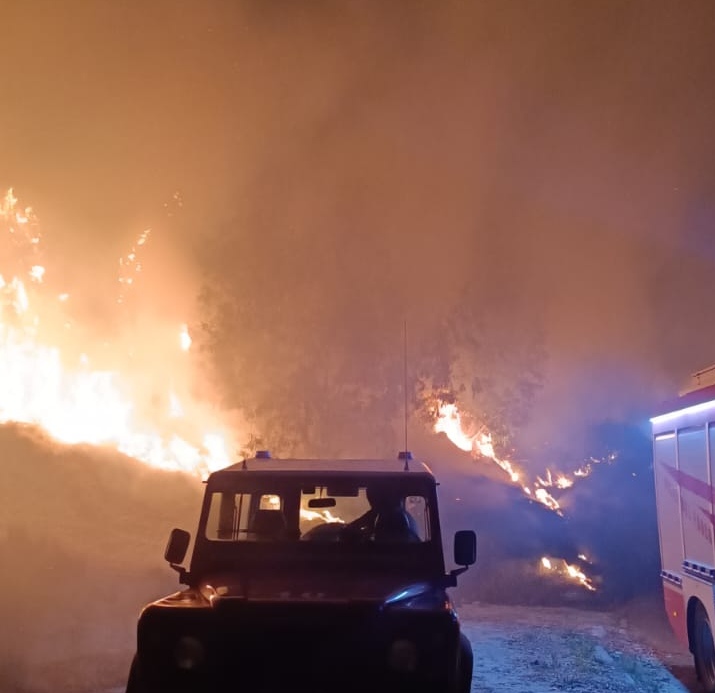 Reggio Calabria – Vasto incendio sulle colline di Riace (FOTO)
