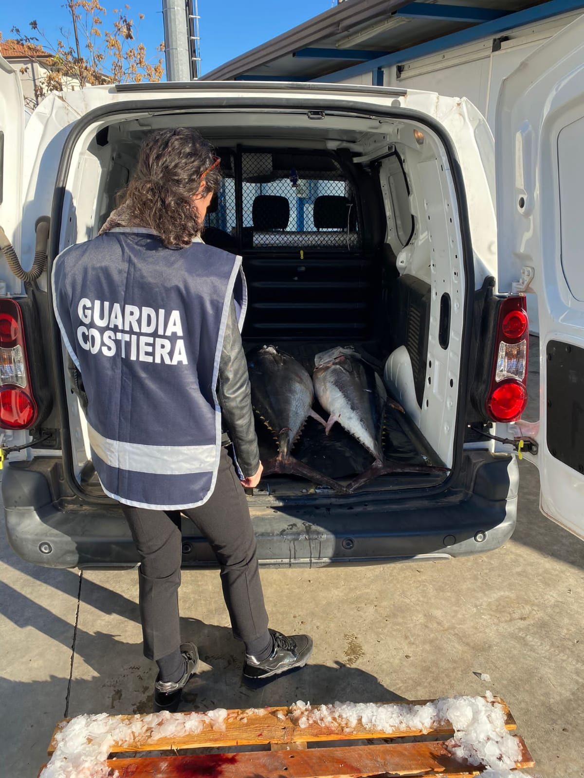Guardia Costiera sequestra nel vibonese esemplari adulti di tonno rosso
