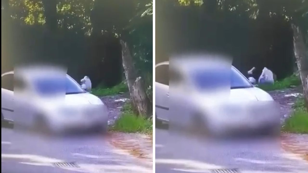 (VIDEO) Lancio della busta dal finestrino, così la videosorveglianza becca chi getta i rifiuti in strada in Calabria