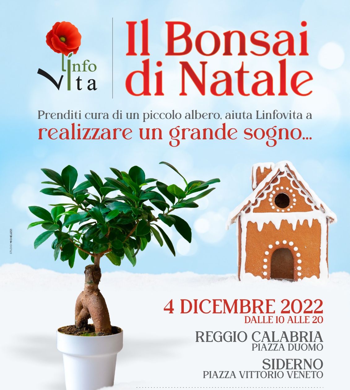 Reggio Calabria – “Il bonsai di Natale” di Linfovita per dare una casa ai malati oncologici