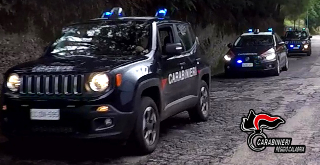 Trovate armi e munizioni nascoste in un’auto abbandonata