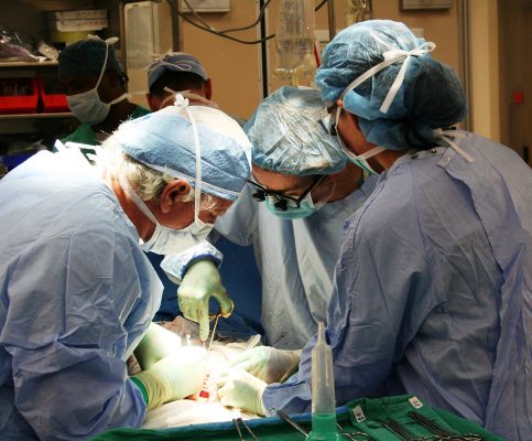 In viaggio dal Gambia fino in Calabria per curare la leucemia. Il C.T.M.O. del Grande Ospedale Metropolitano di Reggio Calabria protagonista