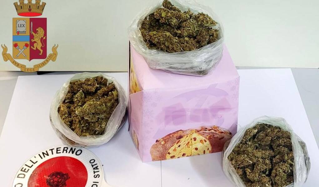 Nascondeva la droga nella confezione del panettone: un arresto