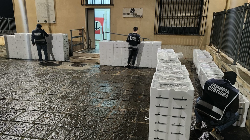 Villa San Giovanni: sequestrate oltre due tonnellate di novellame di sarda