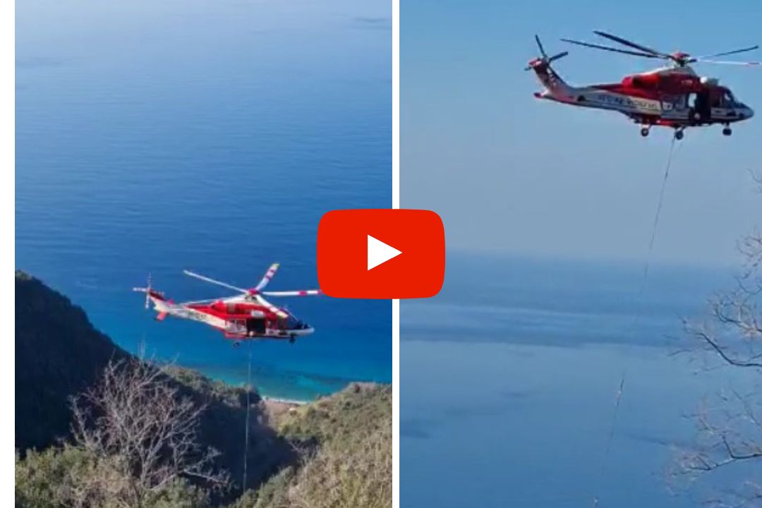 Reggio Calabria –  Spettacolare salvataggio di un vitello dei Vdf a Palmi (VIDEO)