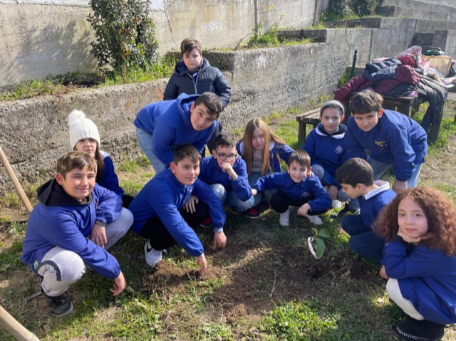 L’albero di Falcone mette radici anche a Martone (Rc)