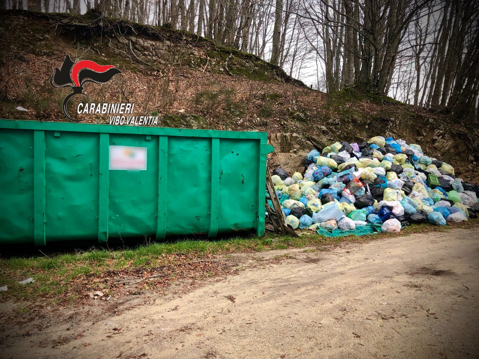 I Carabinieri sequestrano due isole ecologiche nel Vibonese