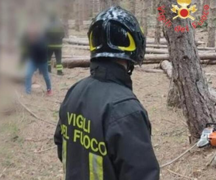 Travolto da albero che stava tagliando, morto un 33enne nel Cosentino