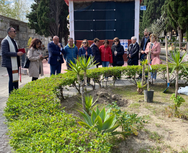 Crotone – Piantato un Olivo bianco nel cimitero cittadino a ricordo delle vittime di Steccato di Cutro