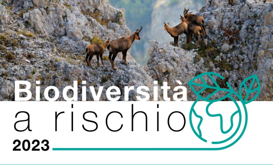 Giornata mondiale della biodiversità, focus sulla Calabria nel Report di Legambiente